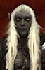 drow